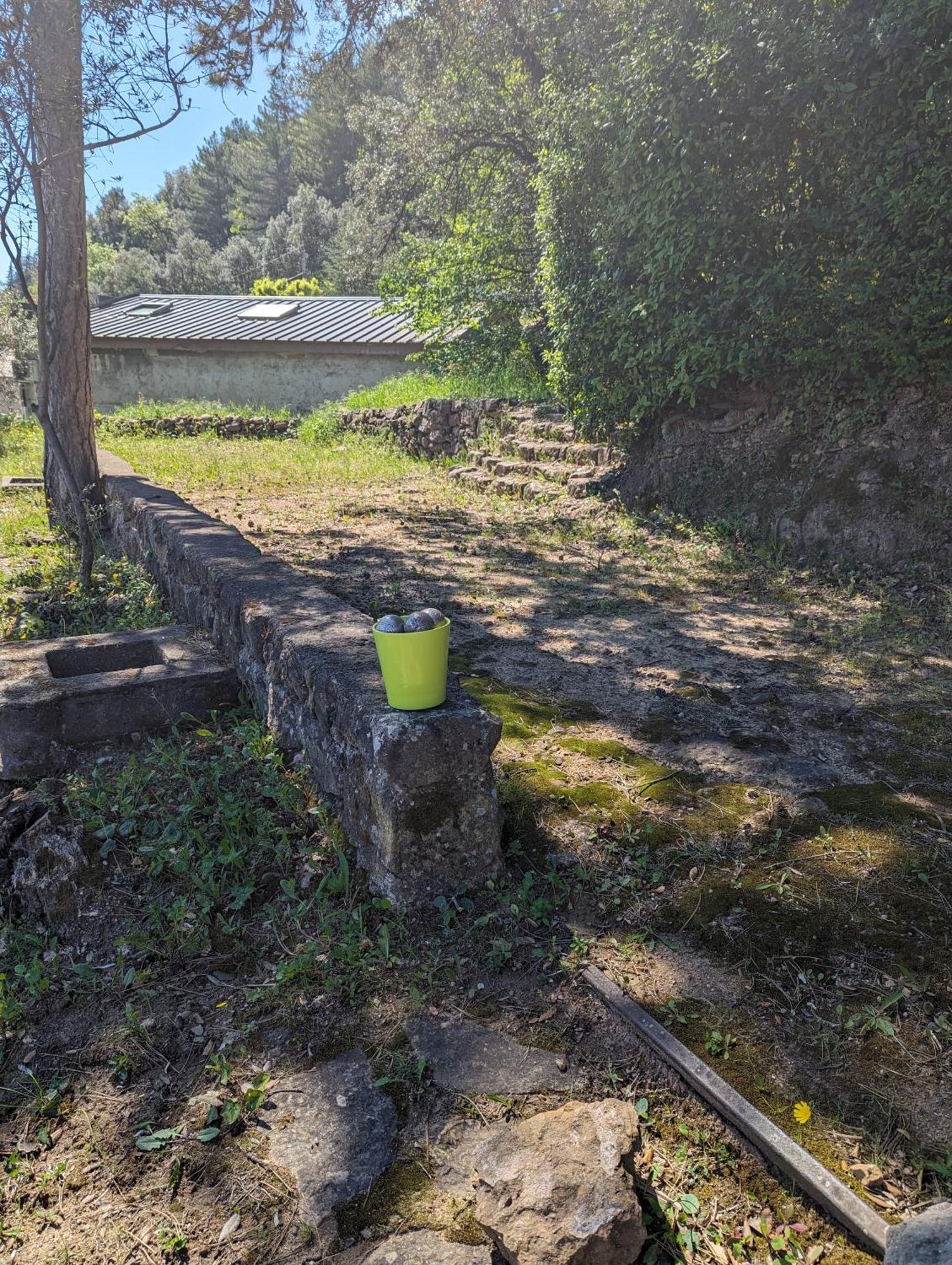 Auberge Des Pins Aubenas Bagian luar foto